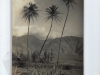 AR_26-04-1939_West_Maui_Mtns_Palms